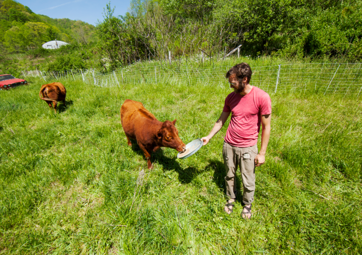 Screen Shot 2017-04-03 at 9.16.52 PM.png