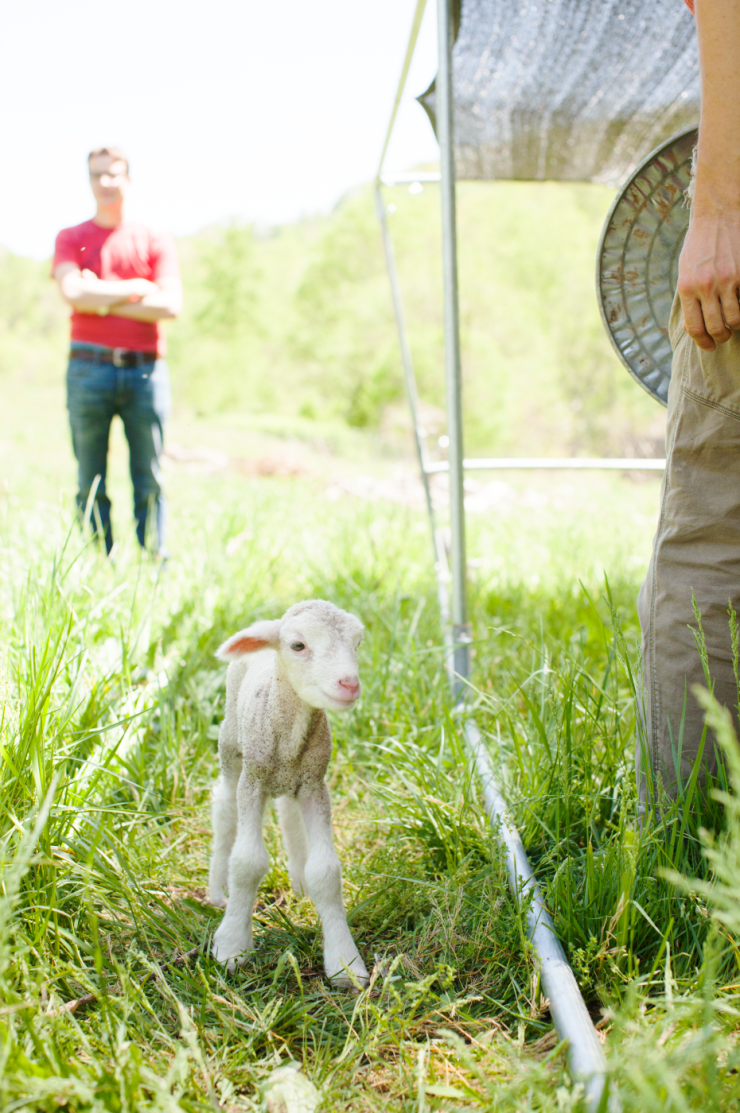 Screen Shot 2017-04-03 at 9.21.54 PM.png