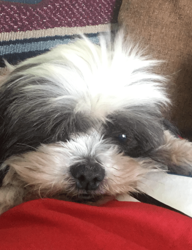 Screen Shot 2017-04-19 at 7.28.52 PM